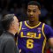 Portal Pulse: LSU forward Robert Miller