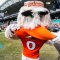 Miami Football Remains No. 1 In The Country In Latest AP Poll