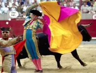 bullfight.webp