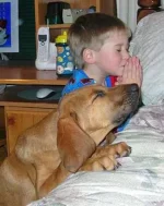 kid praying with dog.webp