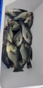 20201024_114205.webp 20201024_114205.webp