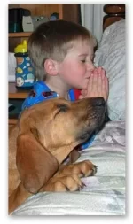 child-dog-praying.webp
