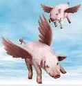 Pigs Fly.webp