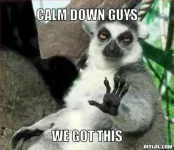 resized_lemur-meme-generator-calm-down-guys-we-got-this-b483ed.webp resized_lemur-meme-generator-calm-down-guys-we-got-this-b483ed.webp