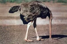 ostrich-head-in-sand.webp