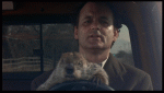 groundhog-day-bill-murray-driving.gif