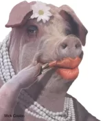 lipstickpig.webp
