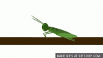 cricket-sound-o.gif
