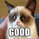 grumpy-cat-good-1.webp