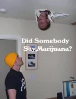 did-somebody-say-marijuana.webp