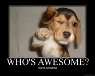 youre-awesome.webp