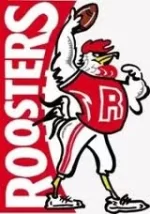 rooster.webp rooster.webp