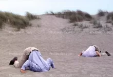 head-in-the-sand.webp
