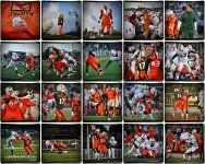 caneONcaneViolence.webp caneONcaneViolence.webp