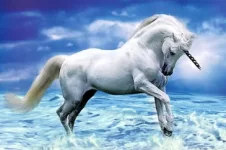 unicorn8.webp