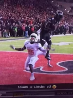 dallas crawford.webp