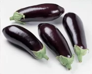 skin-cancer-cure-aubergines.webp