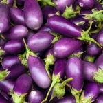 EggplantPic.webp