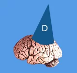 brain-dunce-cap.webp