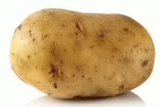 potato.webp potato.webp