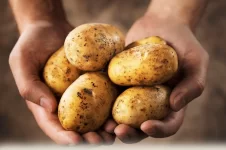 potatoes.webp