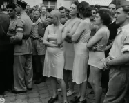 French_collaborator_4.webp French_collaborator_4.webp