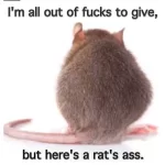ratass.webp