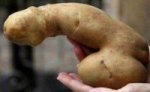 photo-of-the-day-would-you-buy-these-*****-shaped-potatoes.jpg