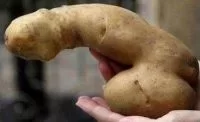 photo-of-the-day-would-you-buy-these-*****-shaped-potatoes.webp