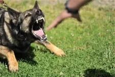 110829-F-MK215-007.webp 110829-F-MK215-007.webp