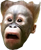 Shocked Chimp.png