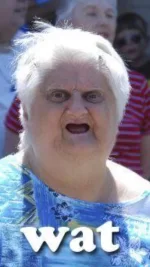 Wat-Meme-Old-Lady-Face-01.webp