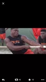 3431490.webp 3431490.webp