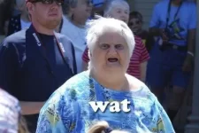 image.webp image.webp