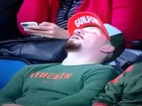 image.webp image.webp