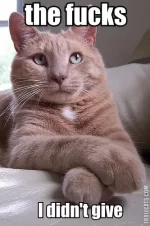 the_****s_i_didnt_give_trollcat.webp