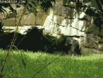 5D725BE2-A569-4672-BE7E-497C30FD56DC_zpsuhjje0kr.gif