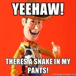 58604015.webp 58604015.webp