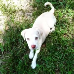 IMG_20160706_152922.webp IMG_20160706_152922.webp