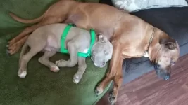 untitled.webp untitled.webp