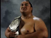 yokozuna.webp