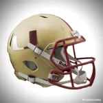 UM_fsucolors.webp