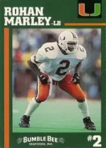 rohan-marley-1994-miami-hurricanes-bumble-bee-sga.webp