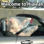 dff036ce8fe918147262dd7473c420d2.webp dff036ce8fe918147262dd7473c420d2.webp