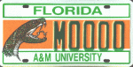 florida_am_university.jpg.gif