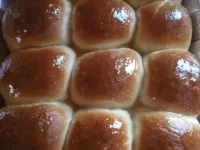 hab-dinner-rolls3.webp