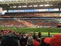 image.webp image.webp