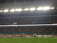 image.webp image.webp