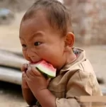 Watermelon.webp
