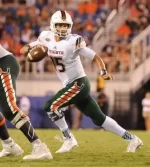 miami blue socks.webp